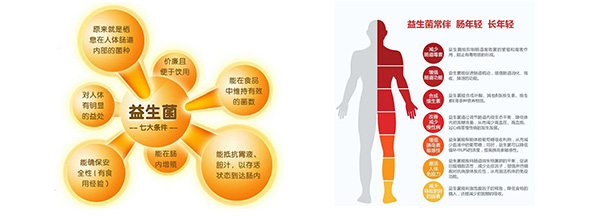 益生菌粉末包装机