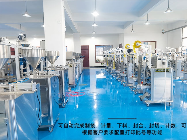 全自动给袋式包装机
